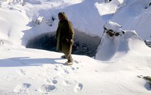 Thêm hai hố bí ẩn khổng lồ ở Siberia