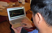 'Cú đêm' trên thị trường Forex