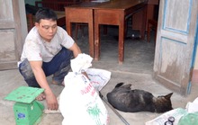 Rạng sáng, dân phục kích bắt kẻ trộm chó