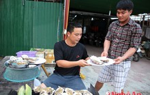 Ăn Cửa Hội, lội Cửa Lò…