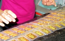 Vàng tăng chóng mặt