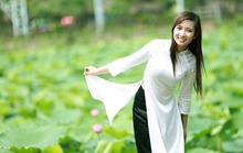 Cho thuê hồ sen chụp ảnh kiếm cả trăm triệu đồng