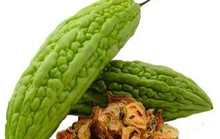 “Sức mạnh” của khổ qua