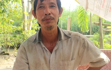 Cho heo nghe nhạc để dễ đậu thai