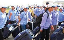 Tăng cường quản lý NLĐ Việt Nam tại Hàn Quốc