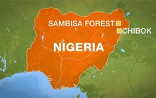 Quân đội Nigeria giải cứu gần 300 phụ nữ từ tay Boko Haram