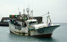 Ba thuyền viên Việt Nam mất tích ngoài khơi Nhật Bản