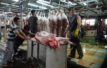 TPP: Cửa nào cho ngành chăn nuôi?