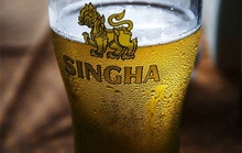 Singha chỉ đầu tư 50 triệu USD vào mảng bia của Masan