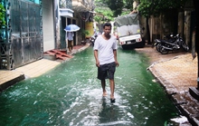 Tìm ra thủ phạm khiến nước xanh bất thường ở Hà Nội