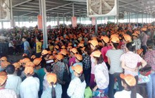 Cho rằng bị xúc phạm, gần 1.000 công nhân ngừng việc