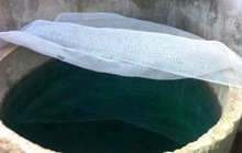 Chị chồng đổ thuốc độc vào bể nước ăn nhà em dâu