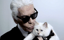 Mèo của nhà thiết kế Karl Lagerfeld kiếm gần 70 tỉ đồng