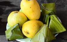 Món tiến vua, ngày ấy - bây giờ