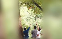 Trung Quốc: Lễ hội bị hủy vì du khách trộm chuông gió