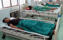 Ăn nấm độc, 5 người bị biến chứng nặng