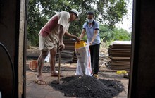 Chịu hết nổi muỗi, bọ đậu đen