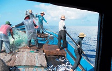 Phản đối hành động cấm đánh bắt cá phi lý của Trung Quốc