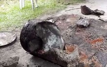 Malaysia: Thi thể công tố viên cao cấp bị nhét trong thùng dầu