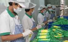 Đừng để doanh nghiệp đơn độc (*): Làm ăn ngày càng khó