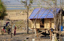 Vật vã trong cơn đại hạn