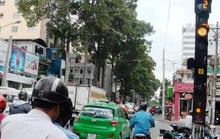 Bất ngờ vì bị xử phạt nặng!