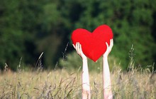 Hãy công bằng với... trái tim