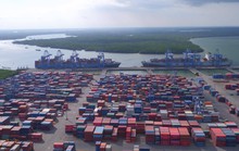 Hỏa tốc gỡ 50 container hải sản bị ách ở cảng