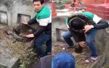 Phát hiện trăn khủng gần 40 kg trong nghĩa địa