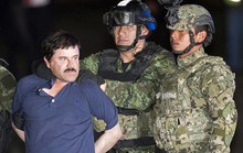 Trận chiến cuối đời của El Chapo