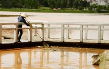 Hồ Xuân Hương ngập rác sau mưa