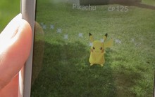 Quá mê trò Pokemon Go, chuyên viên gốc Việt bị sa thải