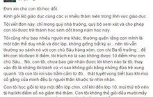 Tác giả thư Xin cho con tôi học dốt: Đừng áp đặt lên con trẻ!