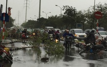 Hà Nội: Gió giật kinh hoàng, hàng trăm người bỏ xe chạy