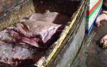 Thất kinh với 2 tấn thịt heo thối sắp vào bếp ăn công nhân