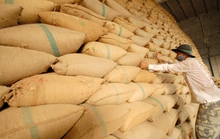 Trung Quốc dựng thêm rào cản gạo Việt