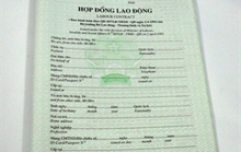 Làm việc 5 tháng sao chưa ký hợp đồng?