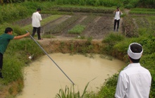 3 trẻ chết thương tâm dưới hố nước tưới rau