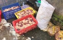 400kg thịt gà “ngậm” hàn the, chế biến gần cống thoát nước