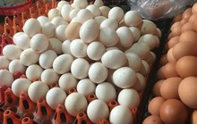 Quả trứng “gánh” 14 loại phí, quả chanh “đội giá” 100 lần