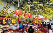 Làm gì để hái ra tiền ngày Tết?