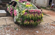 Xe hoa gây sốc mùa cưới