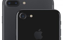 iPhone 7 tại Việt Nam bị đẩy giá lên hàng chục triệu đồng