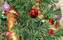 Trang trí cây Giáng sinh, tá hỏa phát hiện rắn cực độc