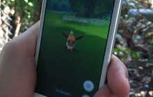 Mải “săn” Pokemon, 3 cô gái quên trả tiền cơm