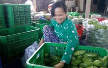 Trồng rau quả sạch thu nhập cao