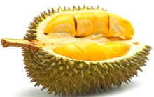 Những ai không nên ăn sầu riêng?