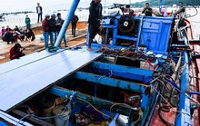 Phản đối tàu Trung Quốc vô nhân đạo đâm chìm tàu cá Việt Nam