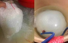 “Trùm” hàng giả Trung Quốc