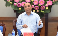 Thủ tướng: Xử nghiêm nếu phát hiện vi phạm hình sự vụ cá chết